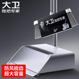 大卫F2畚箕扫把套装DS-F201【分仓直发，72小时发货，周末节假日不发货】