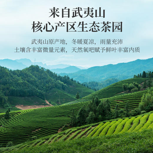 华祥苑-武夷印象特级肉桂礼盒 252g 商品图2