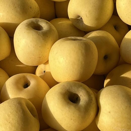 【山东奶油苹果】脆甜多汁 商品图1
