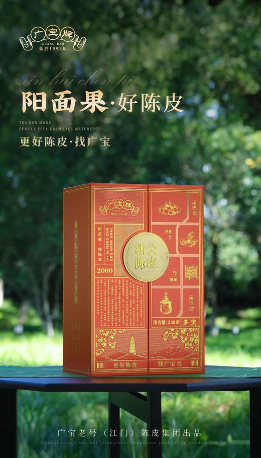 广宝老号(江门)陈皮 2000年 新会陈皮 商品图1