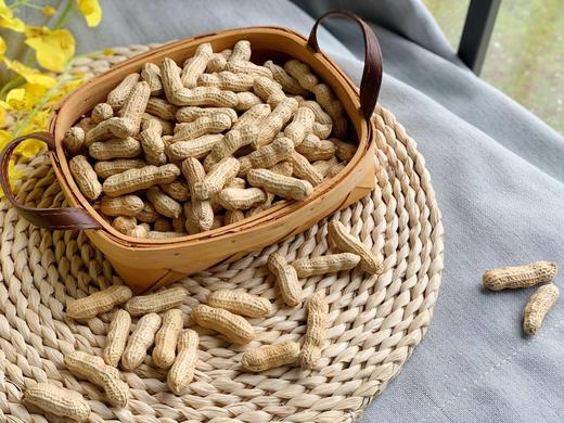 【龙岩湿烤花生】颗粒饱满大小均匀，酥脆香，壳易剥，晴天软人-CC 商品图3