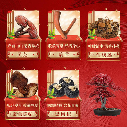 小森浅造 爆闪烟花双层五拼滋补礼盒 商品图2