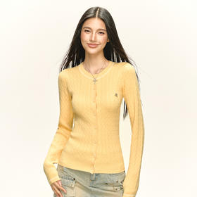 Ariseism 美式复古设计感针织开衫毛衣女秋季新款修身上衣