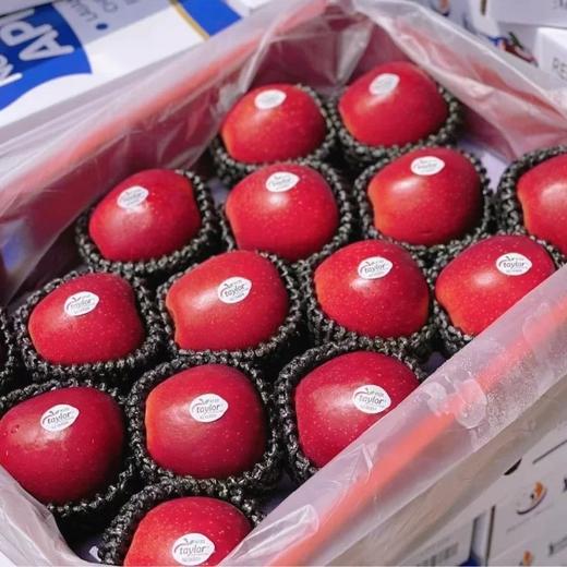 【中秋好礼】石家庄优选仓库速达，新西兰|红玫瑰苹果，清脆爽口，口感脆甜多汁，每一口都透出淡淡玫瑰香味，精品大果15枚装，净重约6.5斤礼盒装 商品图8