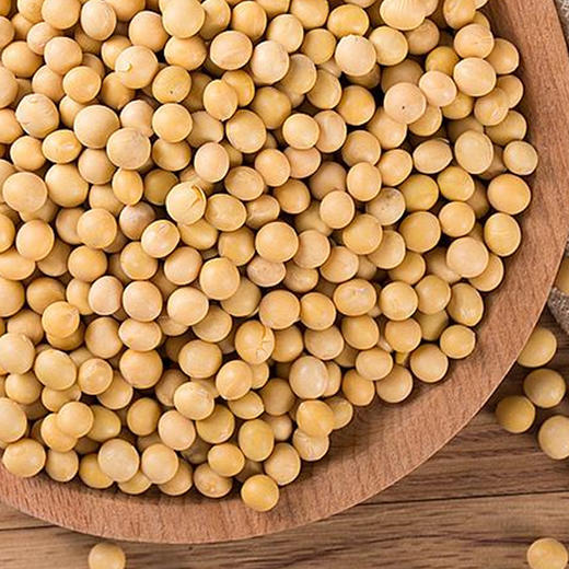 山西特产杂粮精选杂粮黄豆粗粮农家自产黄豆非转基因发豆芽打豆浆1500g袋装 商品图2