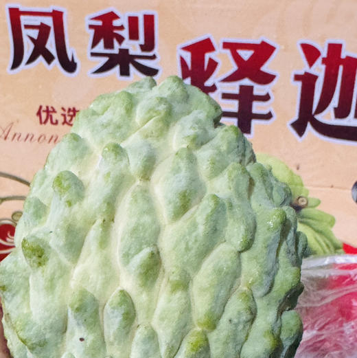 【牛奶释迦礼盒】放软超级美味，新鲜到店，硬，常温放软置尾部有裂口就可以食用，营养充沛，健康美味，超级香甜！ 商品图1