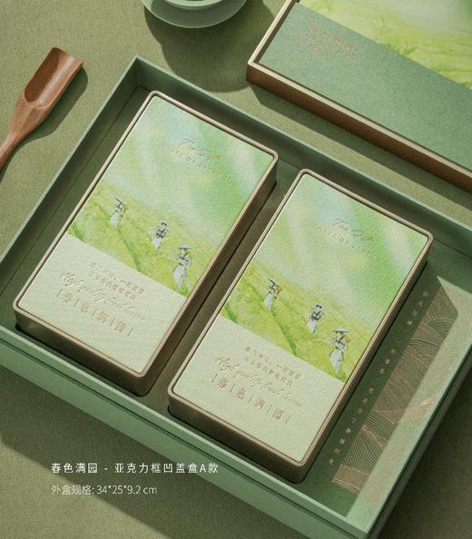 「蓝蜜蜂·礼盒」春色满园 商品图3