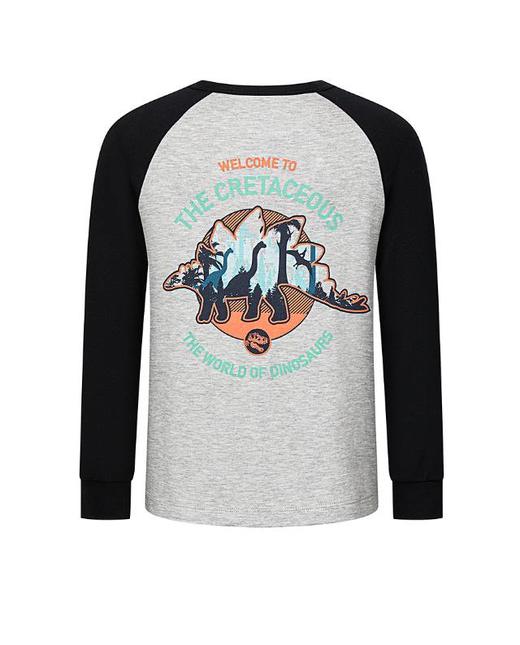 【春上新】8楼爱慕儿童Aimer Kids男孩奶皮探秘侏罗纪套头长袖睡衣AK241J491，吊牌价329元 商品图4