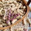 【龙岩湿烤花生】颗粒饱满大小均匀，酥脆香，壳易剥，晴天软人-CC 商品缩略图6