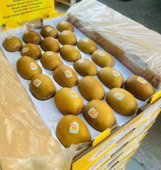 新西兰佳沛金果 商品图6