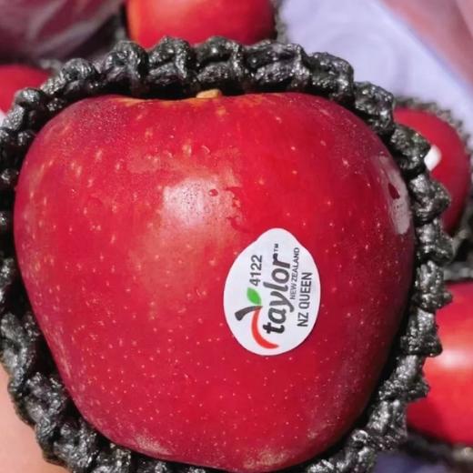 【中秋好礼】石家庄优选仓库速达，新西兰|红玫瑰苹果，清脆爽口，口感脆甜多汁，每一口都透出淡淡玫瑰香味，精品大果15枚装，净重约6.5斤礼盒装 商品图5