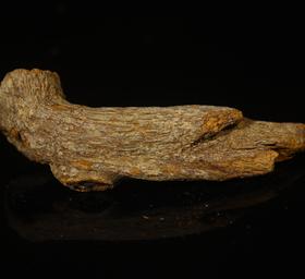 BC.RS9.19-5   富森红土沉水(材料) ，6.56g