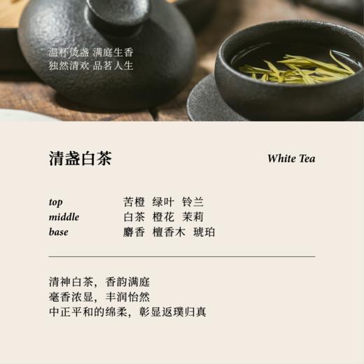 叙室清盏白茶 无火香薰室内持久家用高级熏香礼物摆件 商品图2