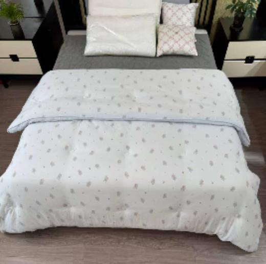 新款初春春秋被四季被床上用品G118000129 商品图0