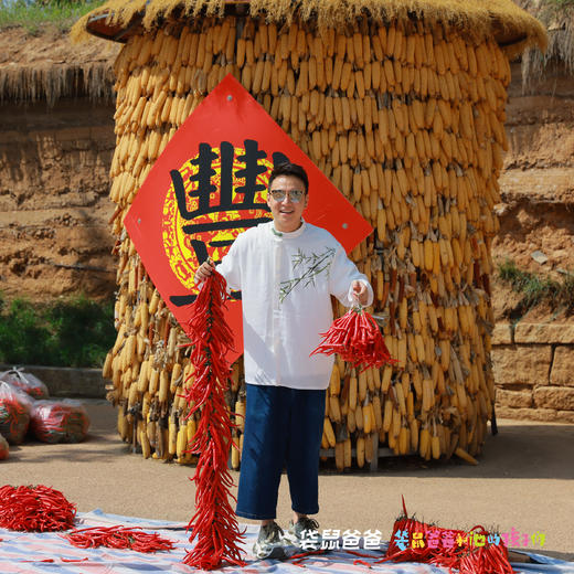 【袋鼠爸爸去哪儿丨蓝田白鹿原影视城王府客栈】客栈位于白鹿原影视城内核心位置，传统关中院落，由中式四合院建筑、城墙和民居院子三部分组成，步行可达滋水县城小吃街、白鹿村及《二虎守长安》等，适合一家老小游玩 商品图6