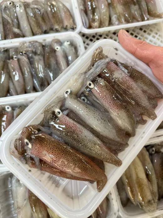 & 一口一个小鱿鱼（一口管），酱爆、白灼、粉丝煲，口感鲜甜爽脆！活冻 商品图3