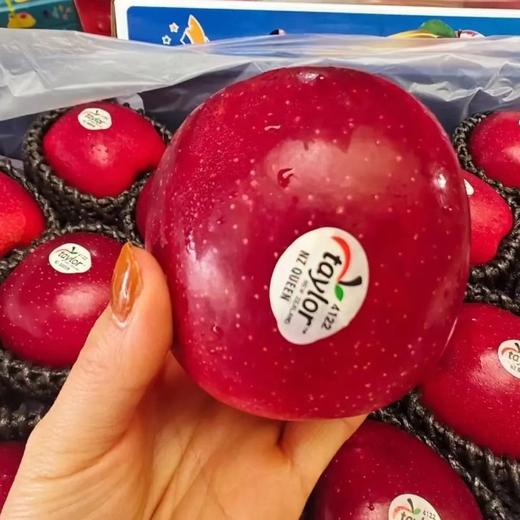 【中秋好礼】石家庄优选仓库速达，新西兰|红玫瑰苹果，清脆爽口，口感脆甜多汁，每一口都透出淡淡玫瑰香味，精品大果15枚装，净重约6.5斤礼盒装 商品图2