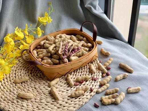 【龙岩湿烤花生】颗粒饱满大小均匀，酥脆香，壳易剥，晴天软人-CC 商品图2