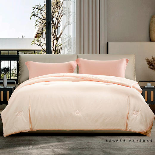 鑫缘 精品纯蚕丝被 ABPB 商品图0