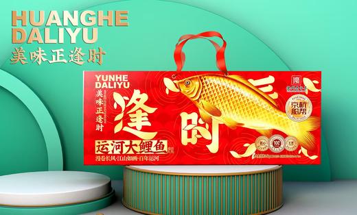 胜康源运河大鲤鱼1.9kg 商品图0