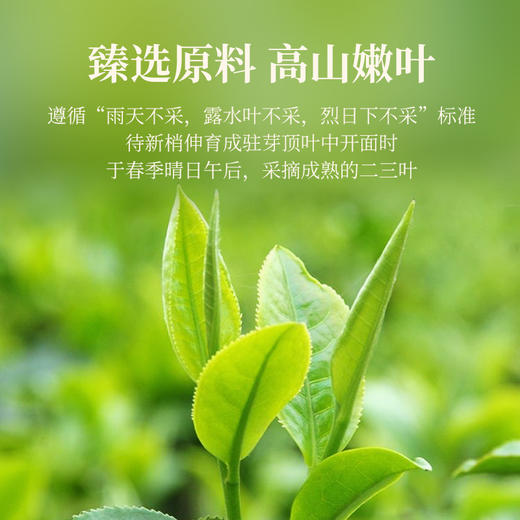 华祥苑-武夷印象大红袍礼盒 252g 商品图4