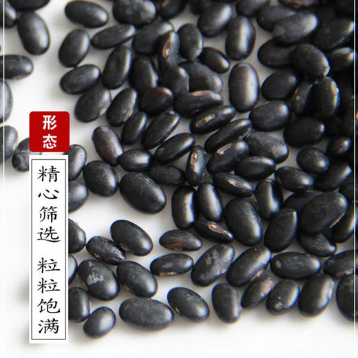 山西特产杂粮精选杂粮黑豆五谷杂粮粗粮打豆浆1500g袋装 商品图1