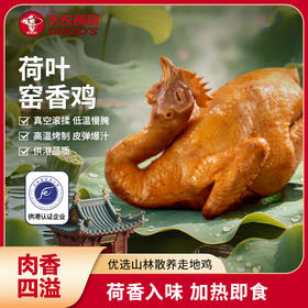 【买1送1】天农荷叶窑香鸡800g整只下酒菜卤香熟食速食散养走地鸡