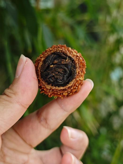 1 刺梨红茶，冬天喝点，挺好的！半斤一份 商品图2