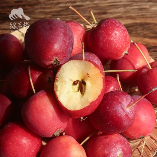 生态苹果（新疆） | 合作生产 * Ecological Apple | Partner Production 商品图1