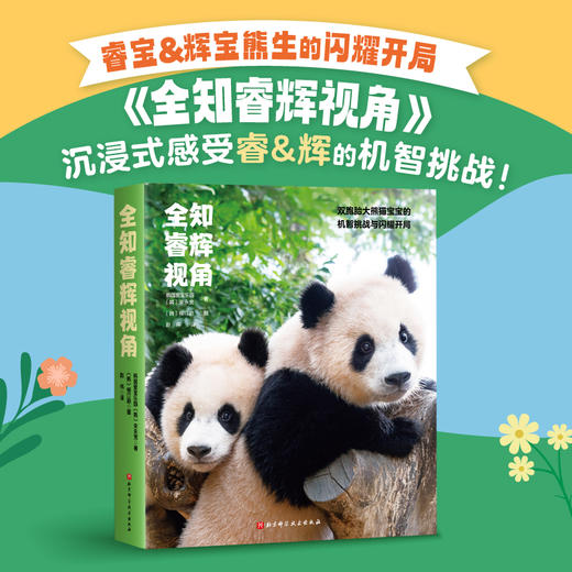 全知睿辉视角 商品图0