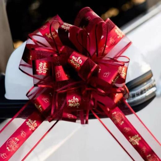 婚车球形拉花（10个） 商品图5