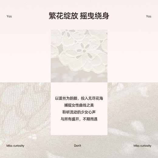 3条98元好奇蜜斯蕾丝低腰性感纯欲三角内裤女7A抗菌纯棉裆透气白  洛根、雅思内裤 商品图1