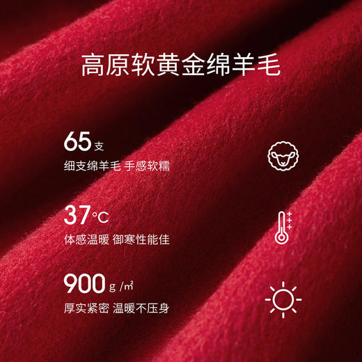 【内购】【可拆卸流苏围巾】英伦风通勤V领/围巾领保暖厚绵羊毛两穿外套-W54OG2451 商品图4