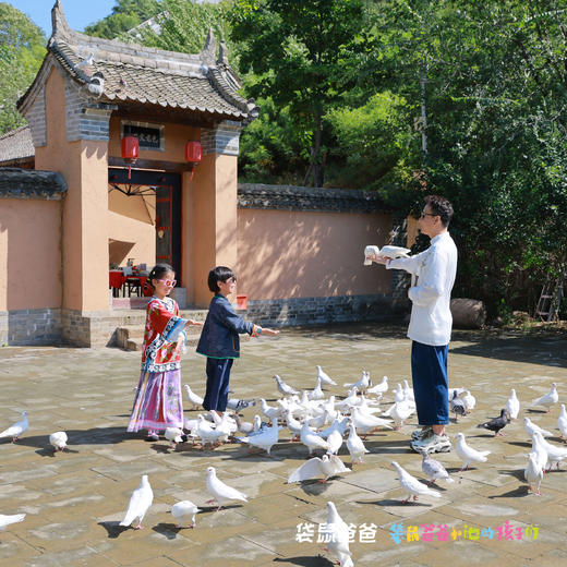 【袋鼠爸爸去哪儿丨蓝田白鹿原影视城王府客栈】客栈位于白鹿原影视城内核心位置，传统关中院落，由中式四合院建筑、城墙和民居院子三部分组成，步行可达滋水县城小吃街、白鹿村及《二虎守长安》等，适合一家老小游玩 商品图10