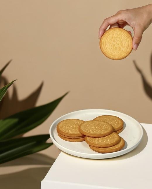 【叮咚熊鲜乳大饼】淡淡的奶香味，香脆营养便携；奶香顺滑；入口香醇-CC 商品图6