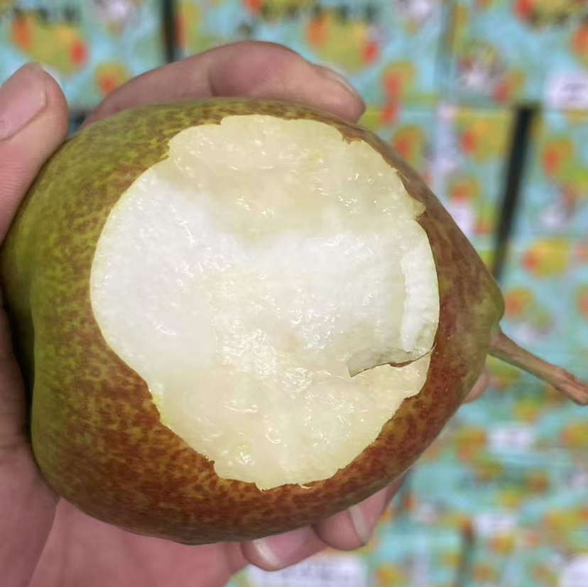 【新库尔勒香蜜梨】如清泉般甘洌，如蜂蜜般香甜，就是这个味！