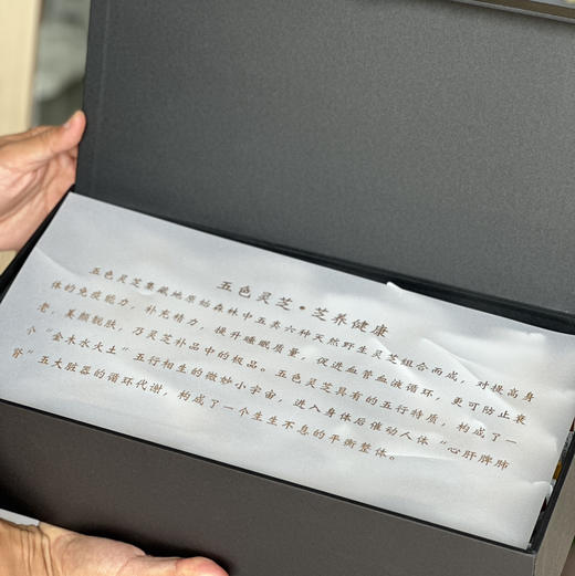 野生灵芝茶 | 五色茶包 商品图2