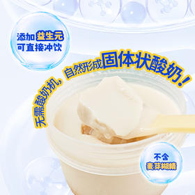 复合益生菌法国进口菌株酸奶 3g*30包（即食）