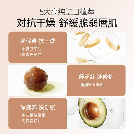 【水润唇膏】长效保湿 润护双唇防干燥 小麦胚芽水润倍护润唇膏（3.6g） 商品图4