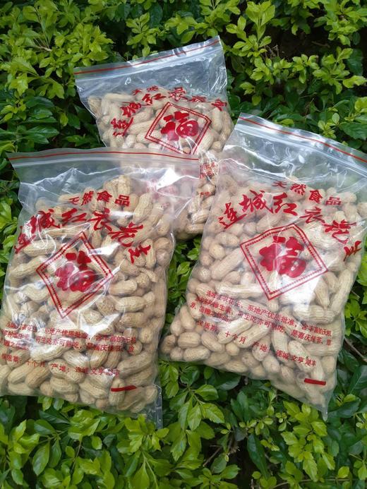 【龙岩湿烤花生】颗粒饱满大小均匀，酥脆香，壳易剥，晴天软人-CC 商品图8