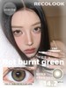 recolook 不焦绿/古早手记 巧 14.2mm 半年抛 有同款日抛 商品缩略图4