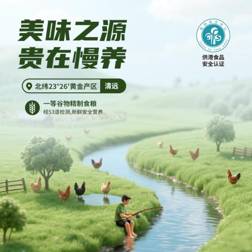 【买1送1】天农川香麻椒鸡600g 正宗整只手撕即食真空熟食零食特产走地椒麻鸡 商品图2