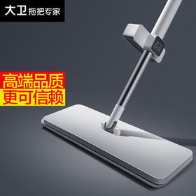 大卫P10平板拖把DP-P1003【分仓直发，72小时发货，周末节假日不发货】