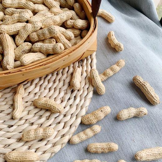 【龙岩湿烤花生】颗粒饱满大小均匀，酥脆香，壳易剥，晴天软人-CC 商品图4