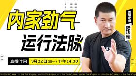 【9月22日】内家劲气运行法脉