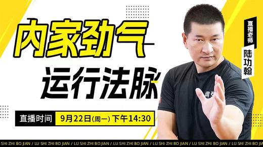 【9月22日】内家劲气运行法脉 商品图0