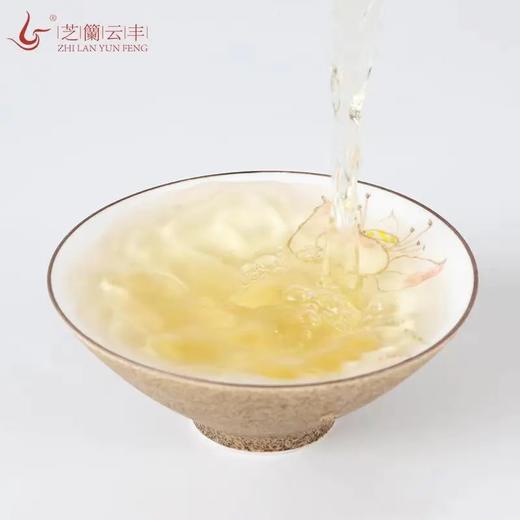 芝兰云丰 | 长安一片瓦 白茶 商品图3