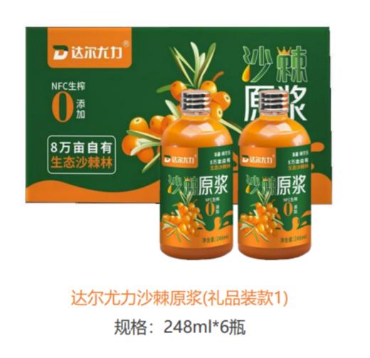 新疆阿克苏沙棘原浆248ml*6（玻璃瓶装） 商品图0