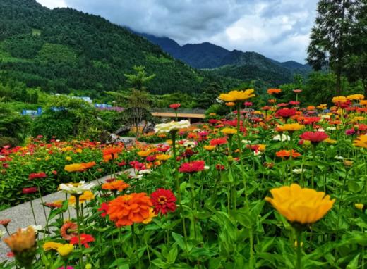 【雅安桌山黑石度假酒店·避挤优选】仅149元享1晚，229元享2晚，送下午茶，躺享山林氧吧，徒步龙苍沟，看日出彩林！ 商品图2