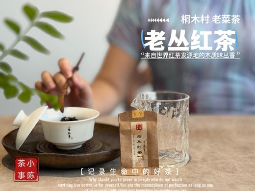 【会员福利】2025桐木老丛红茶， 岁月织就的稠滑汤水与老树木质香，温暖又美好 商品图5